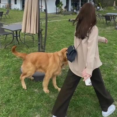 德黑兰禁忌