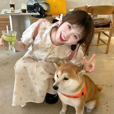 约会规则第五季