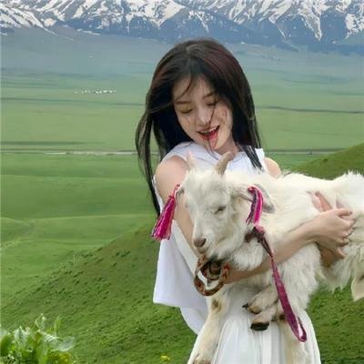 史酷比：格斗狂热迷