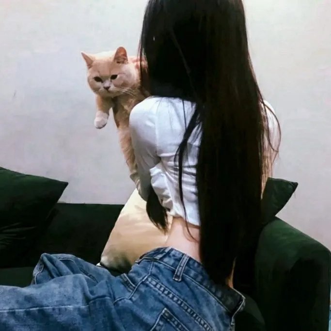 竞选伙伴